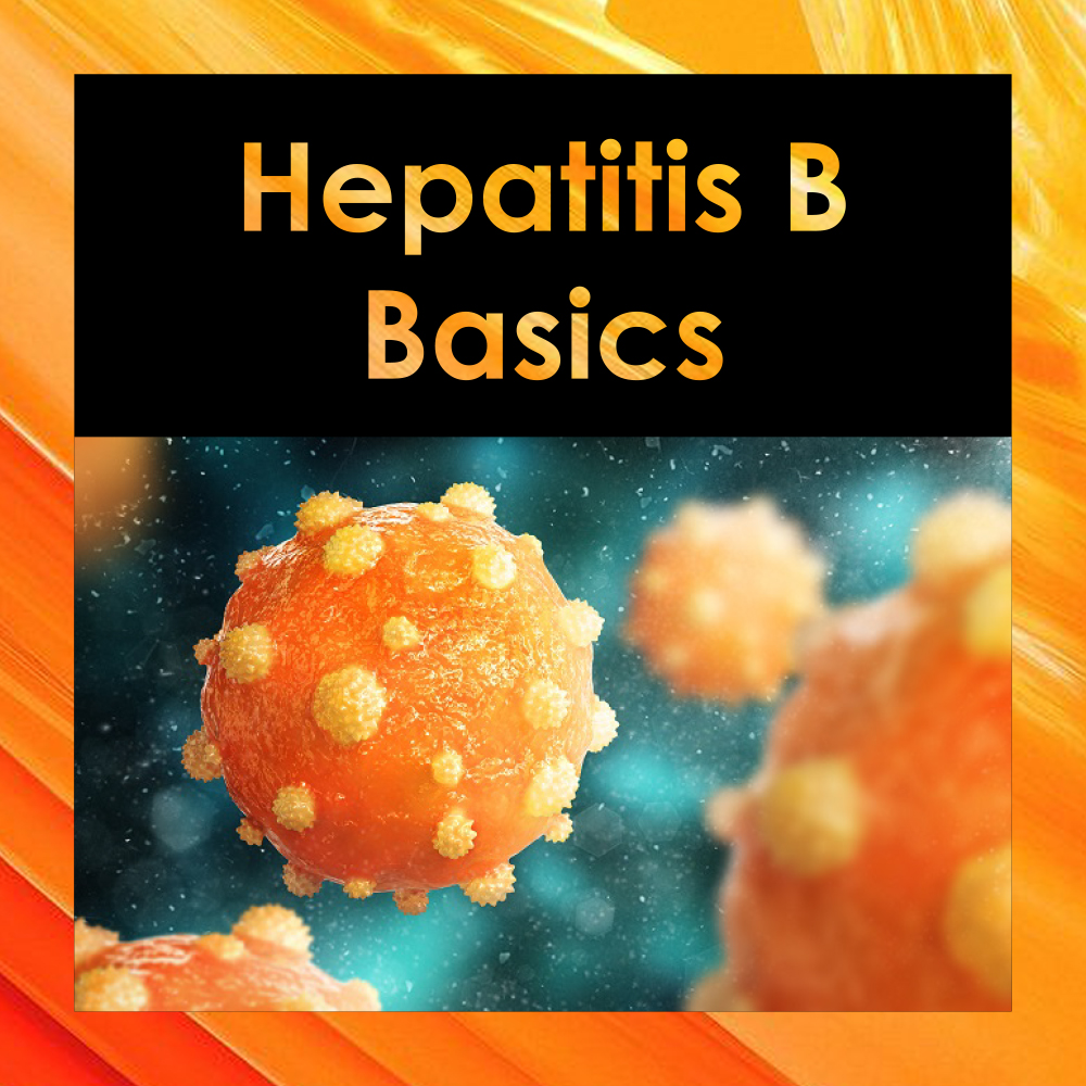 Hepatitis B Basics