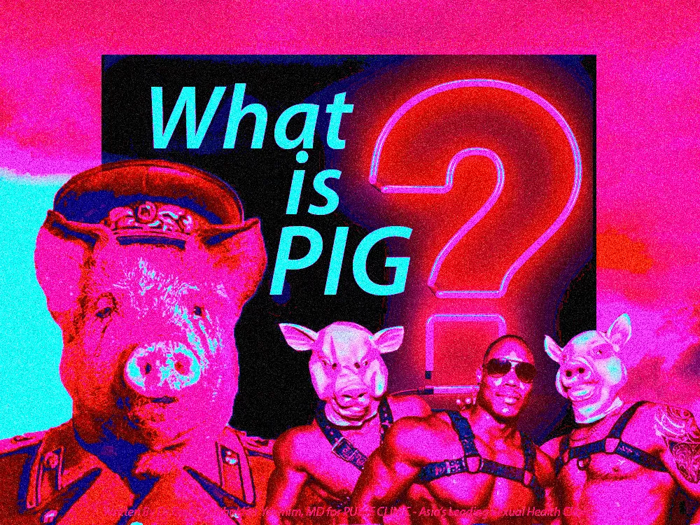 What is PIG?