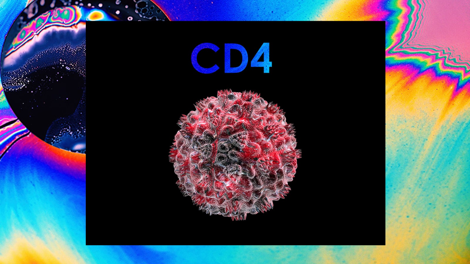 What is CD4 and why is it important?  | Anonymous HIV Test Bangkok, Pattaya, Phuket, Chiang Mai Thailand