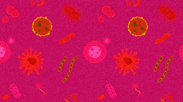 Bacterial Sexually Transmitted Infections - Types, Testing, Symptoms & Treatment