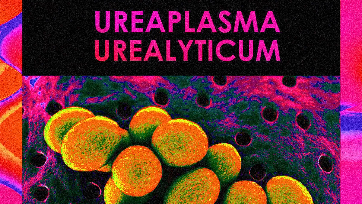 Ureaplasma Urealyticum