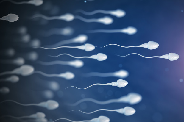Oligospermia: An Issue about low sperm count and how to increase naturally.