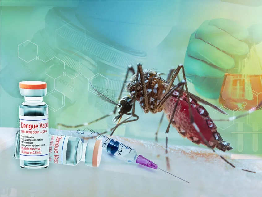 Get the Dengue Fever Vaccine in Bangkok, Chiang Mai, Pattaya, Phuket, and Koh Samui, Thailand