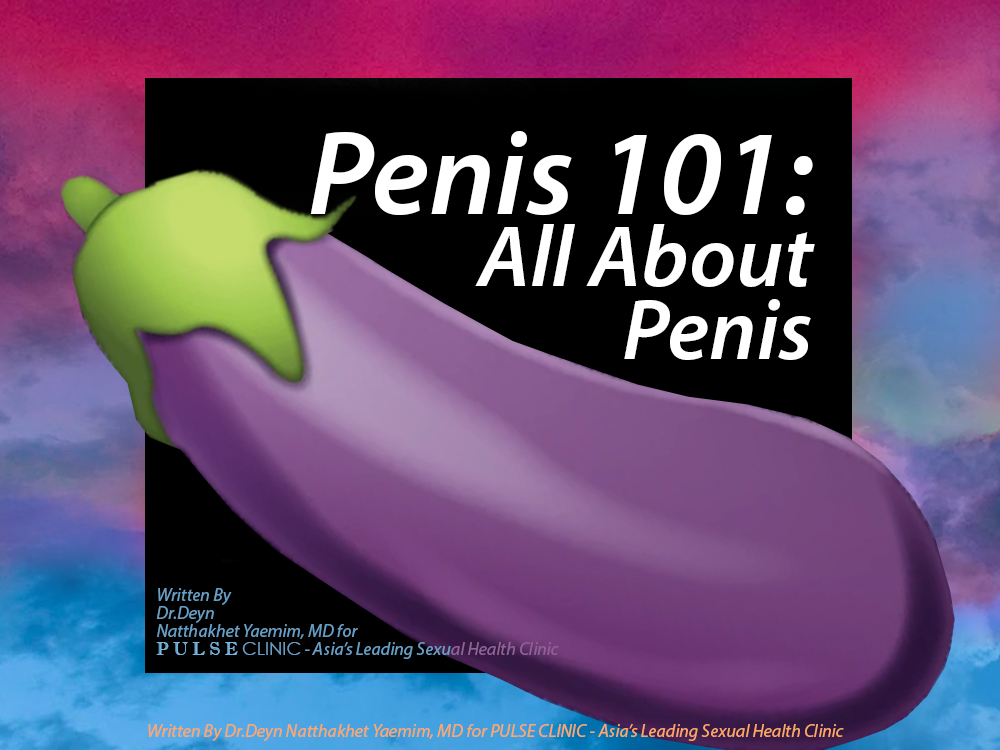 Penis 101 - All About Penis