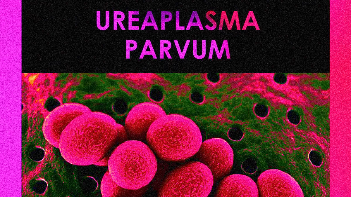 UREAPLASMA PARVUM