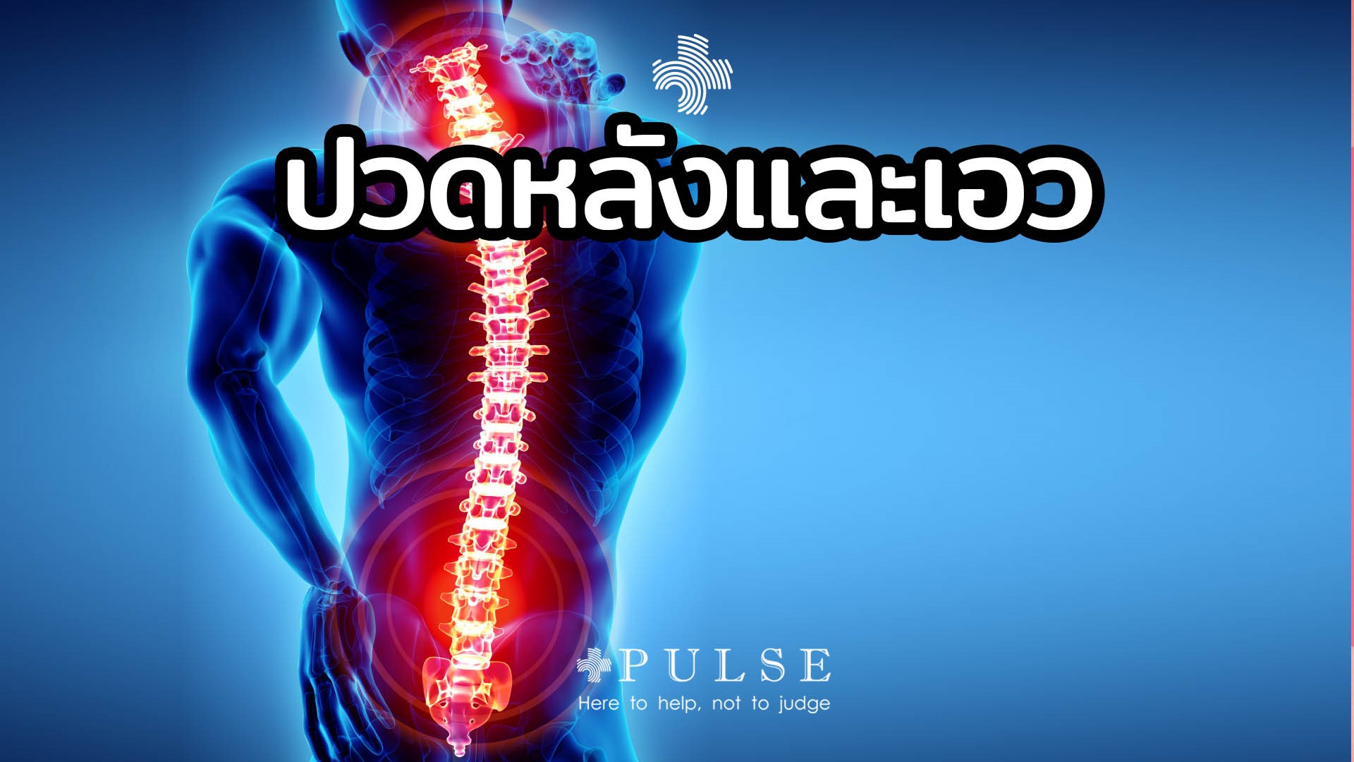 อาการปวดหลังที่ไม่มีอาการปวดร้าวลงขาร่วมด้วย ( Back pain without leg pain)