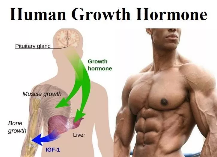 human growth hormone injection
