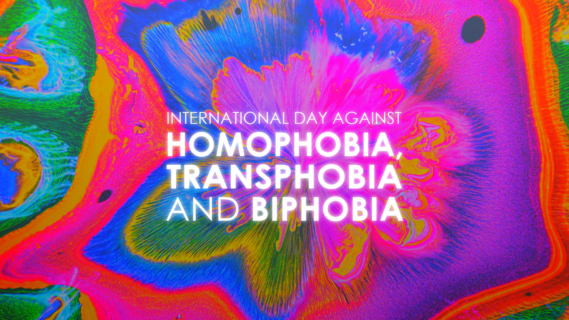 International Day Against Homophobia Transgender Idahot Pulse